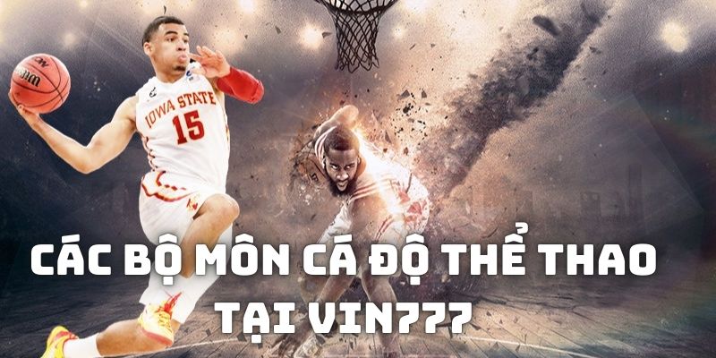 Các bộ môn cá độ thể thao tại vin777