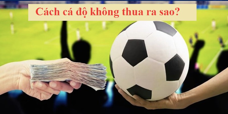 Đa dạng các loại bảo hiểm thua kèo giúp bạn an tâm chơi cá độ