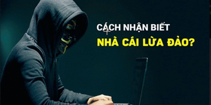 Nhà cái có bịp không? Nhận biết thông qua cách làm việc